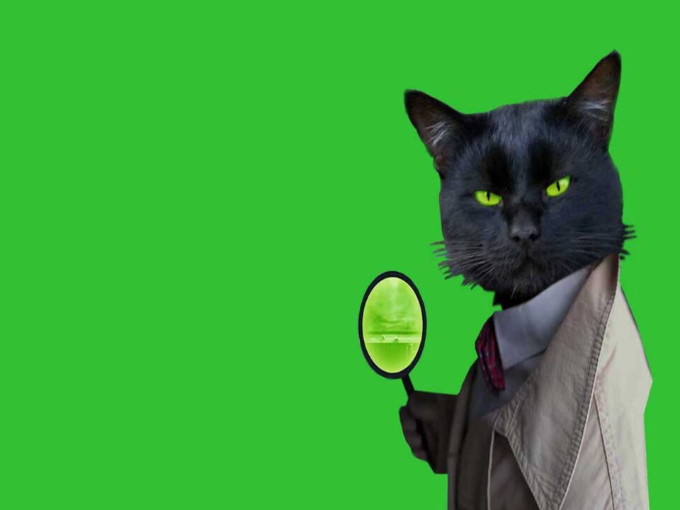 cat detective school english, курсы английского языка,